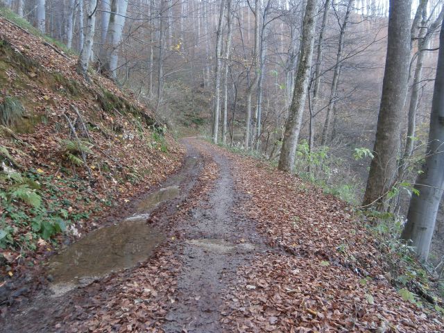 Boč & Plešivec MTB,22.11.2014 - foto