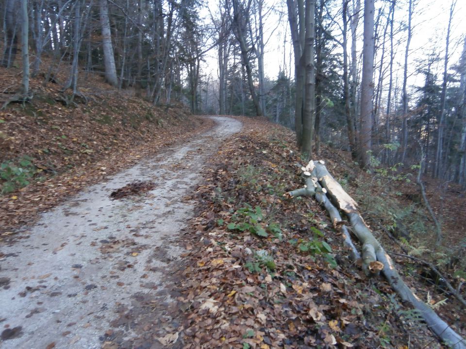 Boč & Plešivec MTB,22.11.2014 - foto povečava