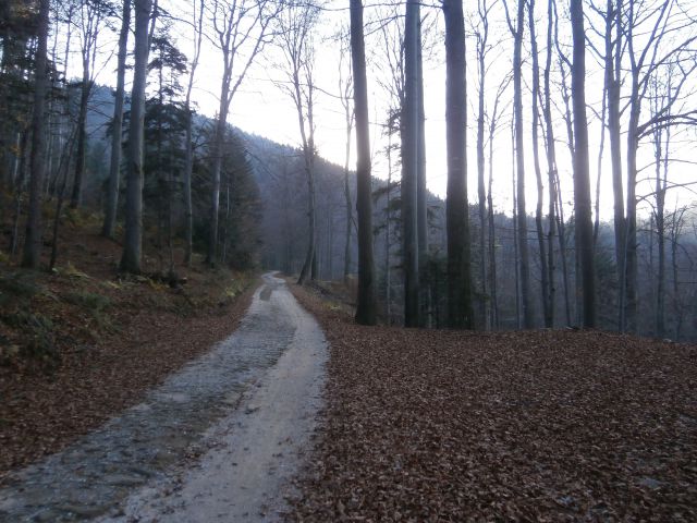 Boč & Plešivec MTB,22.11.2014 - foto