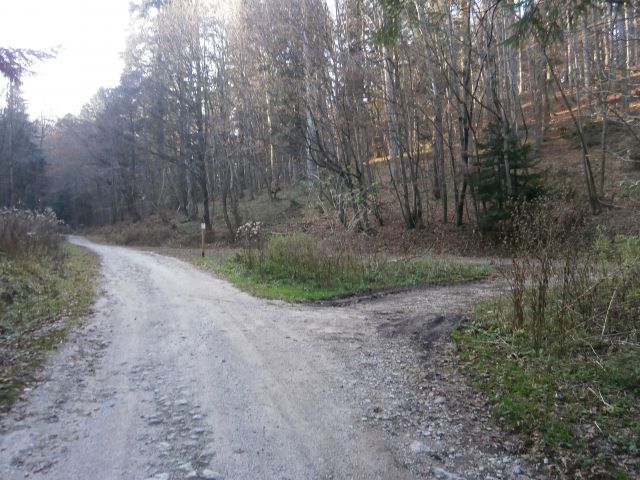 Boč & Plešivec MTB,22.11.2014 - foto