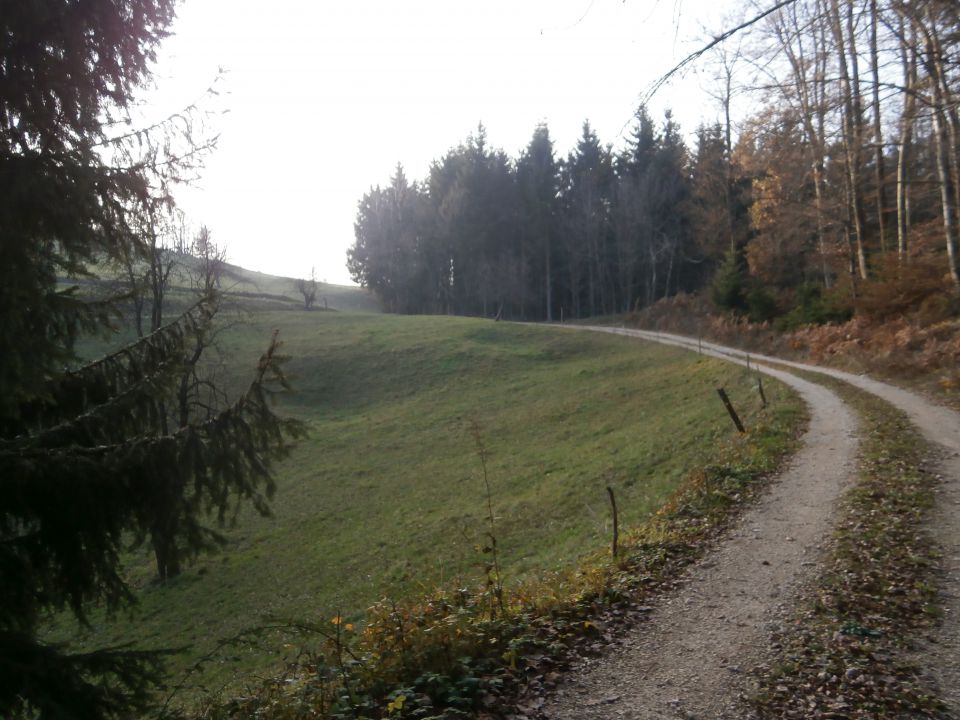 Boč & Plešivec MTB,22.11.2014 - foto povečava