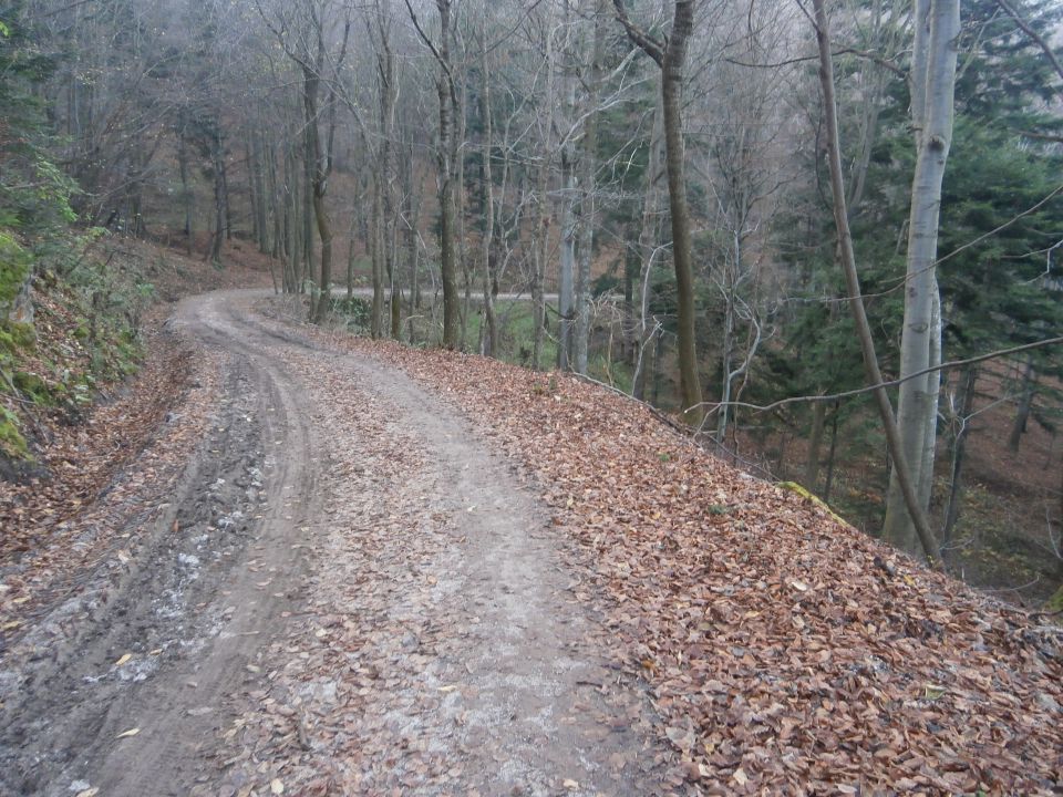 Boč & Plešivec MTB,22.11.2014 - foto povečava