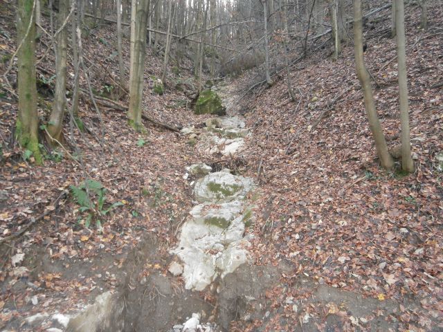 Boč & Plešivec MTB,22.11.2014 - foto