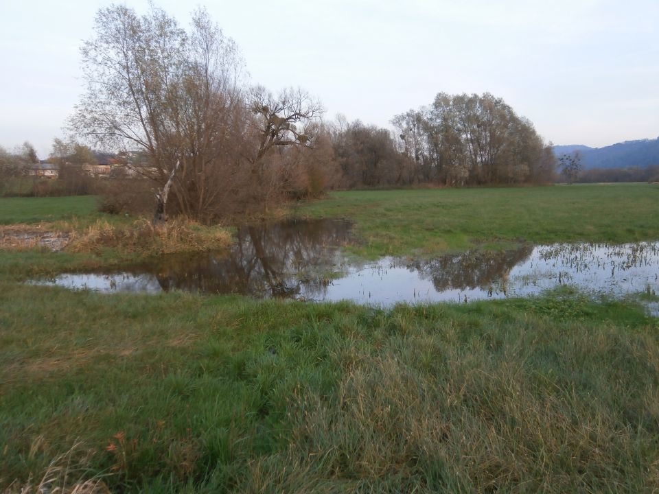 Boč & Plešivec MTB,22.11.2014 - foto povečava