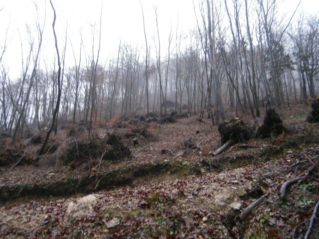 Veliki Slom nad Žičami,07.12.2014 - foto