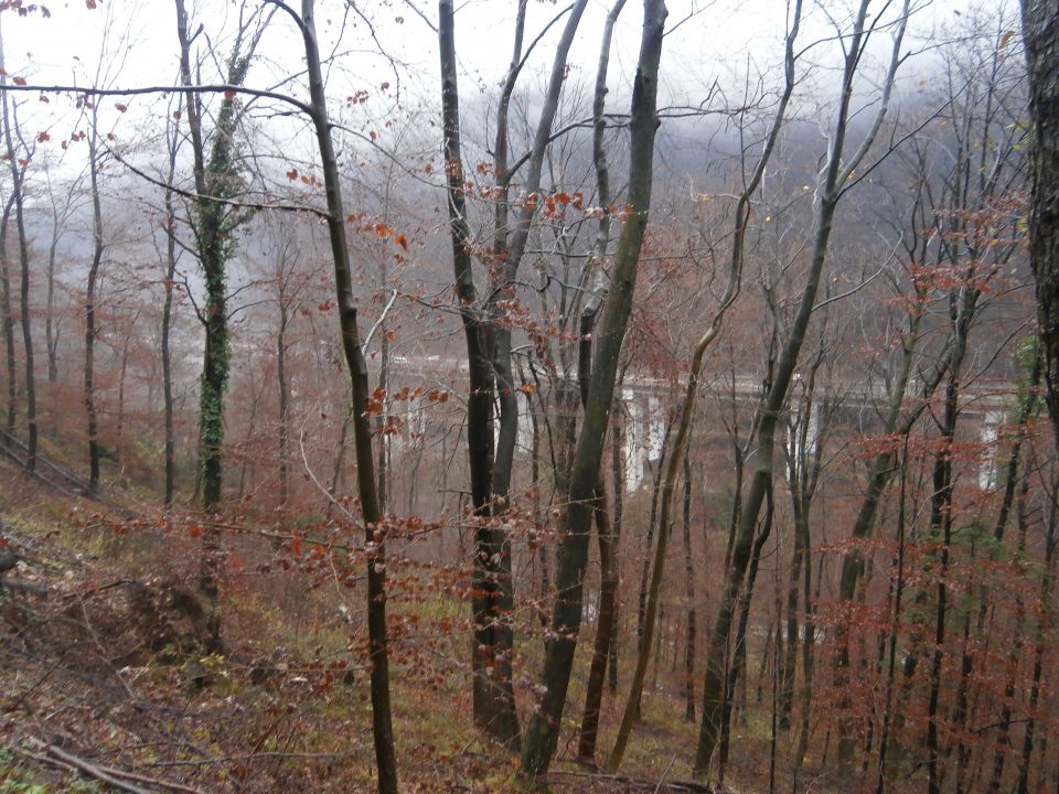 Veliki Slom nad Žičami,07.12.2014 - foto povečava