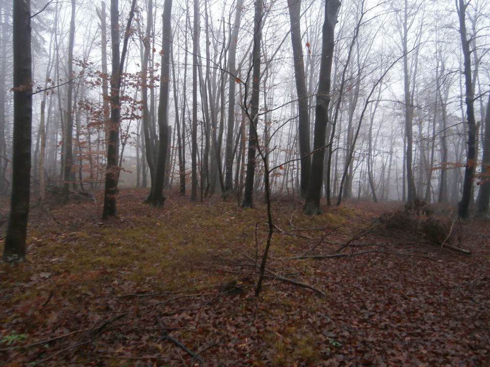 Veliki Slom nad Žičami,07.12.2014 - foto povečava