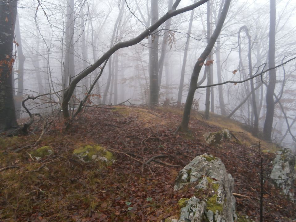 Veliki Slom nad Žičami,07.12.2014 - foto povečava