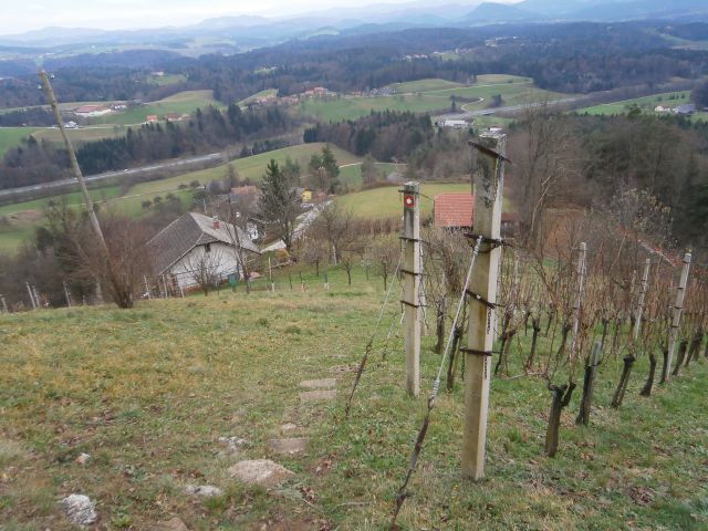 Ponikva-Dramlje ob Sv. Uršuli,14.12.2014 - foto