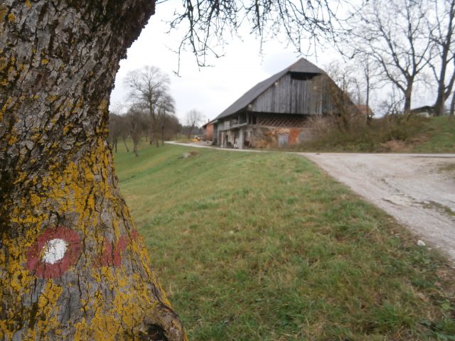 Ponikva-Dramlje ob Sv. Uršuli,14.12.2014 - foto