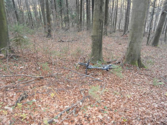 Zbelovska gora, 20.12.2014 - foto