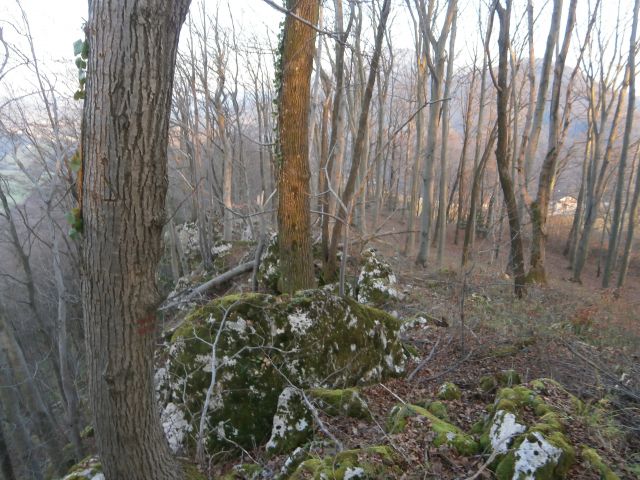 Zbelovska gora, 20.12.2014 - foto