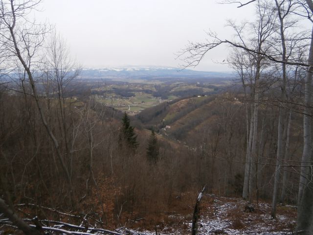 Plešivec 822, 25.01.2015 - foto