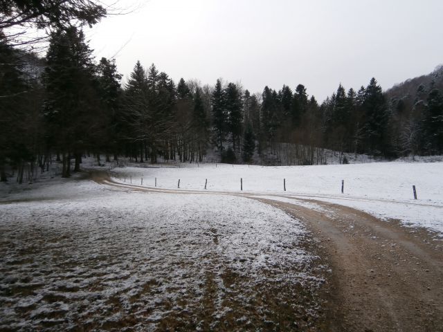 Plešivec 822, 25.01.2015 - foto