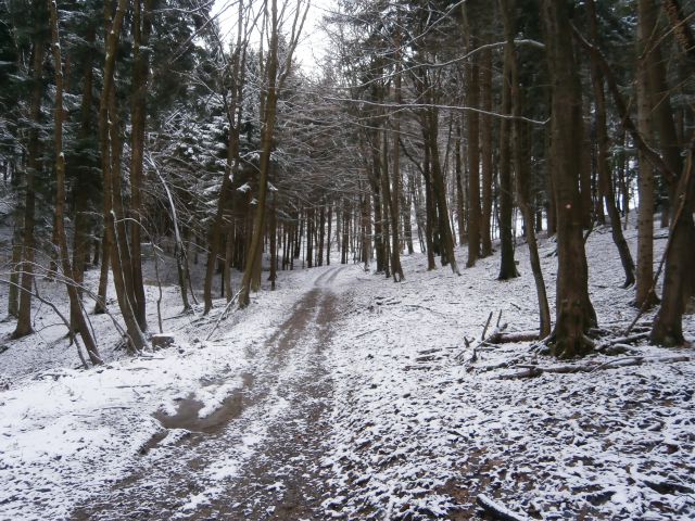 Plešivec 822, 25.01.2015 - foto