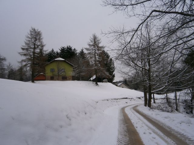 Plešivec 822, 25.01.2015 - foto