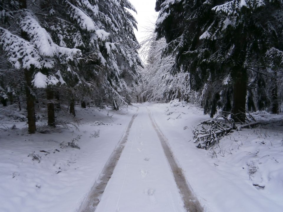 Plešivec 822, 25.01.2015 - foto povečava