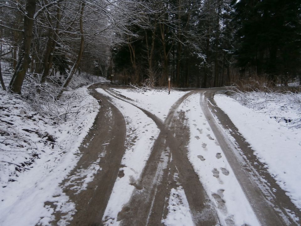 Plešivec 822, 25.01.2015 - foto povečava