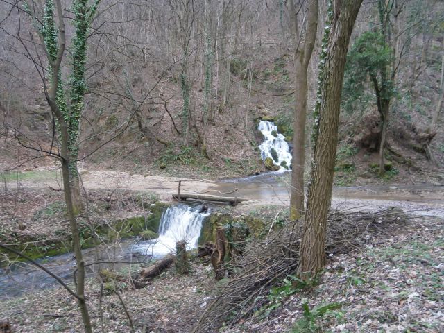 Plešivec 822, 25.01.2015 - foto