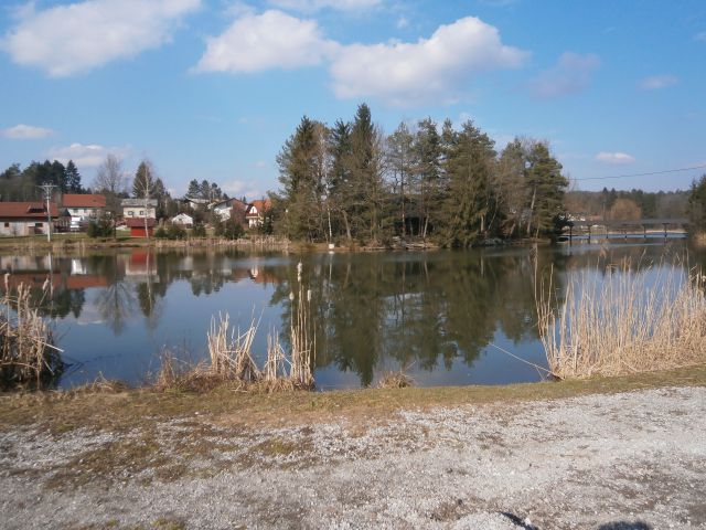 Ponikva - Dramlje - Štore,15.02.2015 - foto