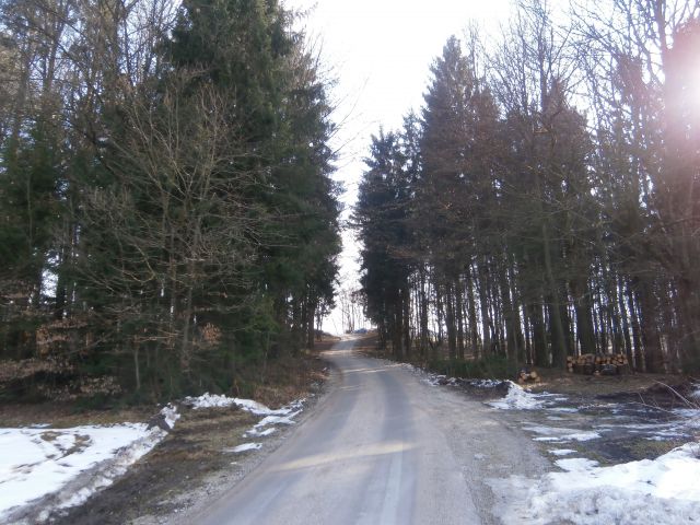 Ponikva - Dramlje - Štore,15.02.2015 - foto