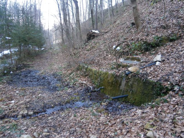 Ponikva - Dramlje - Štore,15.02.2015 - foto