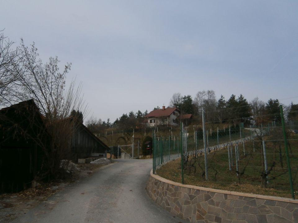 Celje - Veliki Slomnik,01.03.2015 - foto povečava