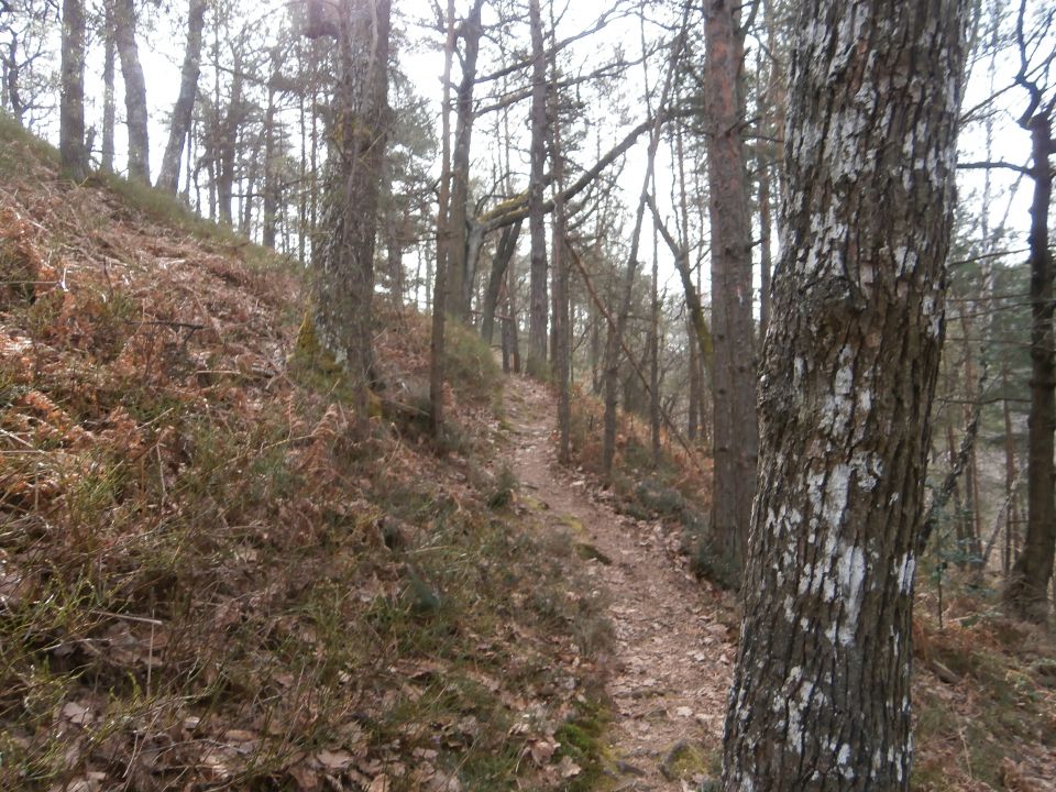 Celje - Veliki Slomnik,01.03.2015 - foto povečava