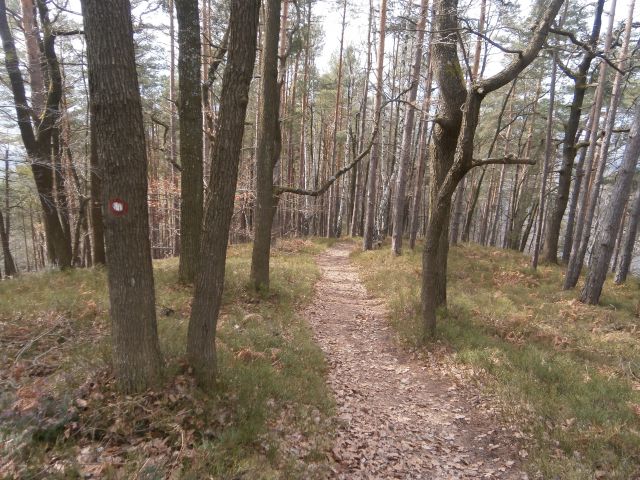 Celje - Veliki Slomnik,01.03.2015 - foto