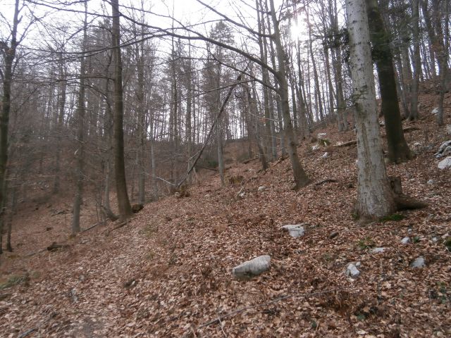 Celje - Veliki Slomnik,01.03.2015 - foto