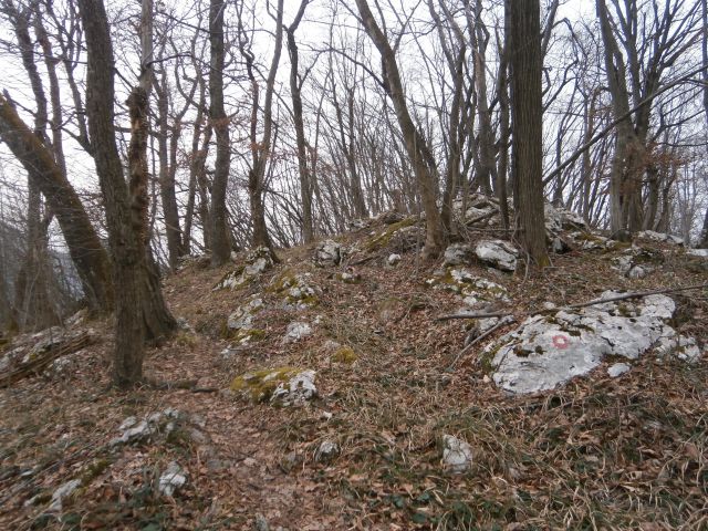 Celje - Veliki Slomnik,01.03.2015 - foto