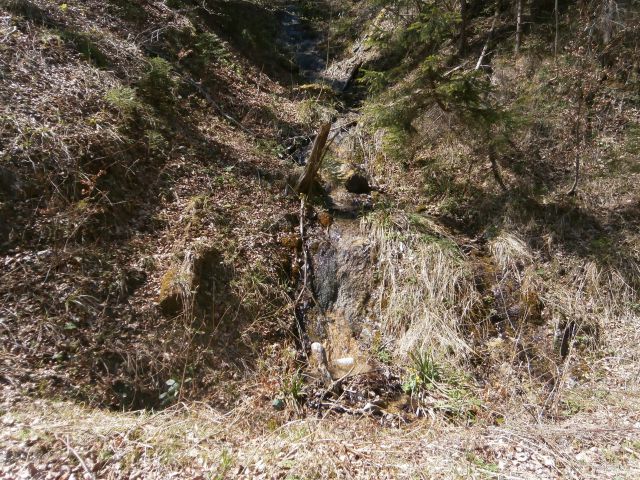 Celjsko hribovje nad Štorami in Celjem - foto