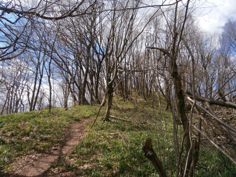 Celjsko hribovje nad Štorami in Celjem - foto povečava