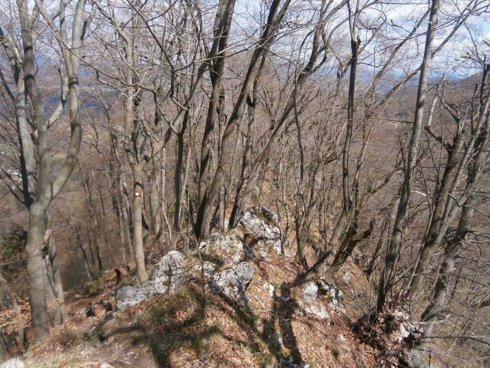 Celjsko hribovje nad Štorami in Celjem - foto povečava