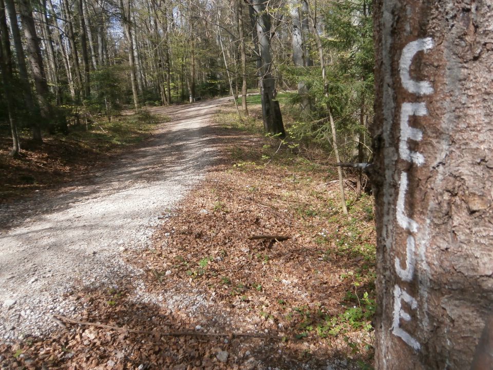 Celjsko hribovje nad Štorami in Celjem - foto povečava