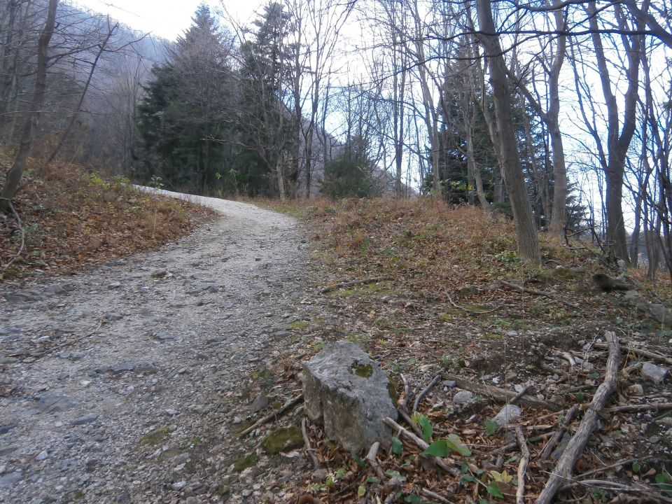 Boč nad Studenicami, 01.12.2015 - foto povečava