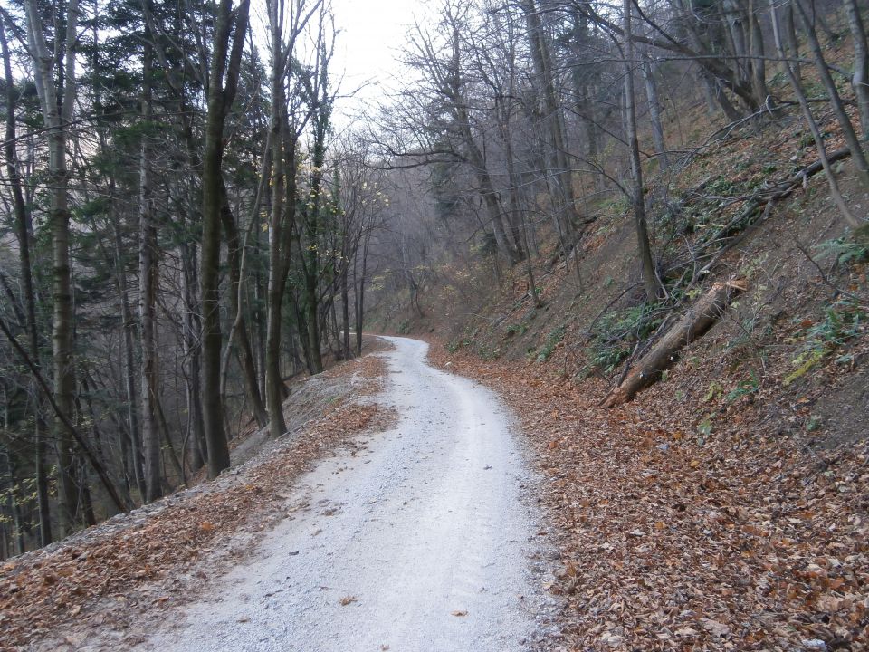 Boč nad Studenicami, 01.12.2015 - foto povečava