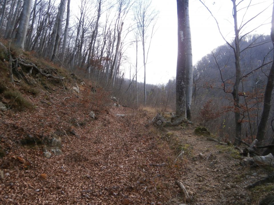 Boč nad Studenicami, 01.12.2015 - foto povečava