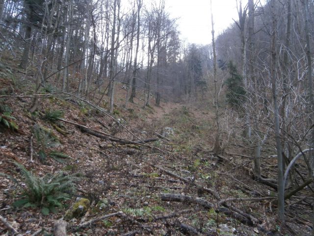 Boč nad Studenicami, 01.12.2015 - foto