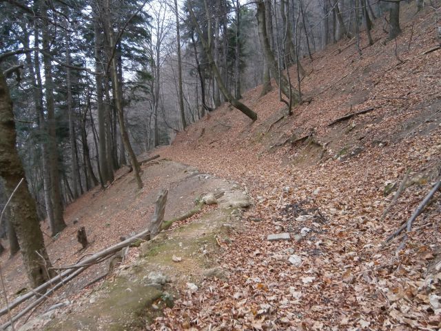 Boč nad Studenicami, 01.12.2015 - foto