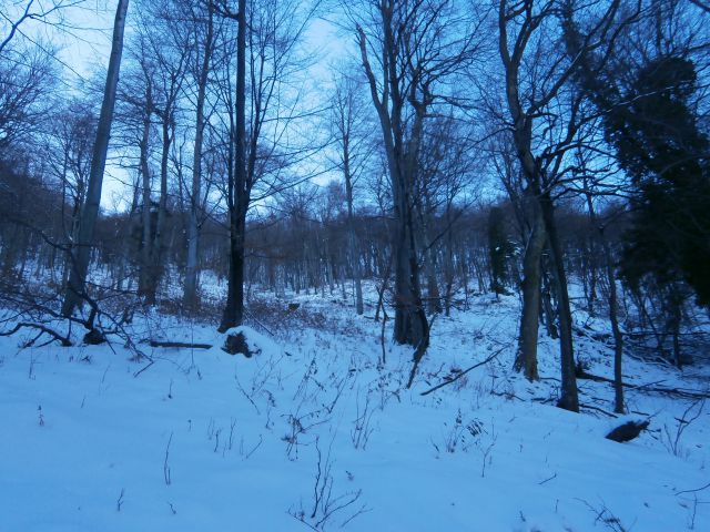 Lajše/Boč nad Studenicami, 07.01.2016 - foto