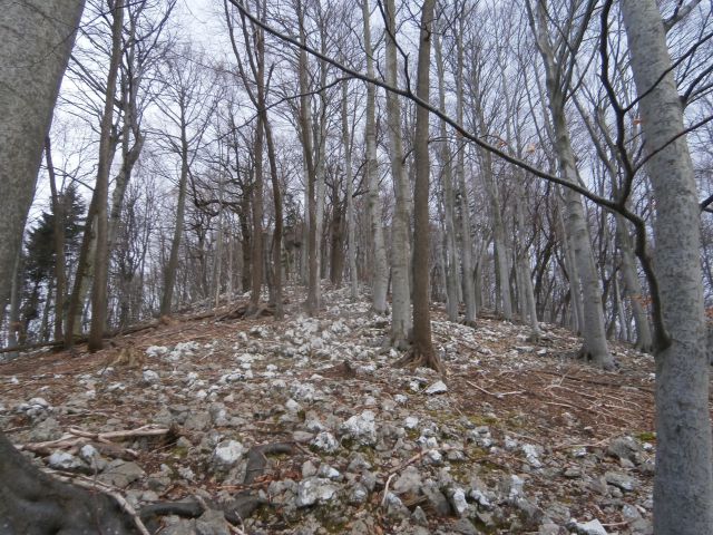 Kisovec 734 metrov visok vrh Boča, 23.02.2016 - foto