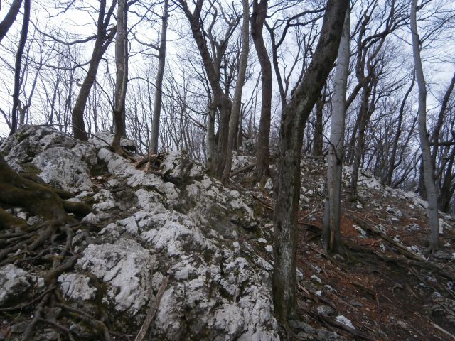 Kisovec 734 metrov visok vrh Boča, 23.02.2016 - foto