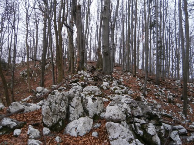 Kisovec 734 metrov visok vrh Boča, 23.02.2016 - foto