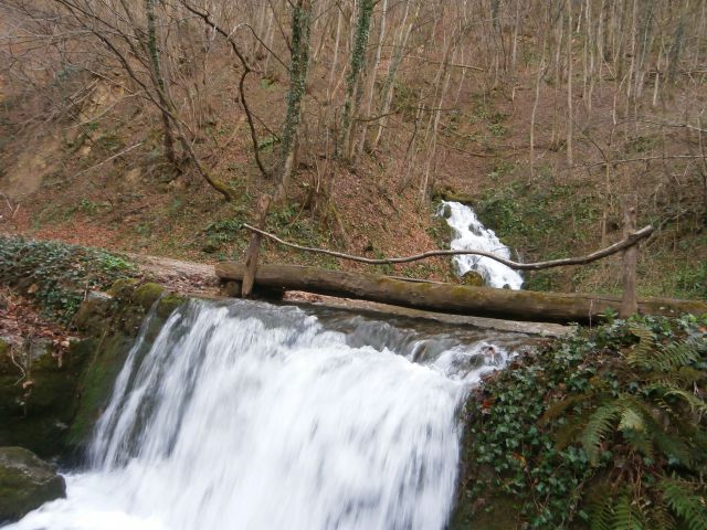 Kisovec 734 metrov visok vrh Boča, 23.02.2016 - foto