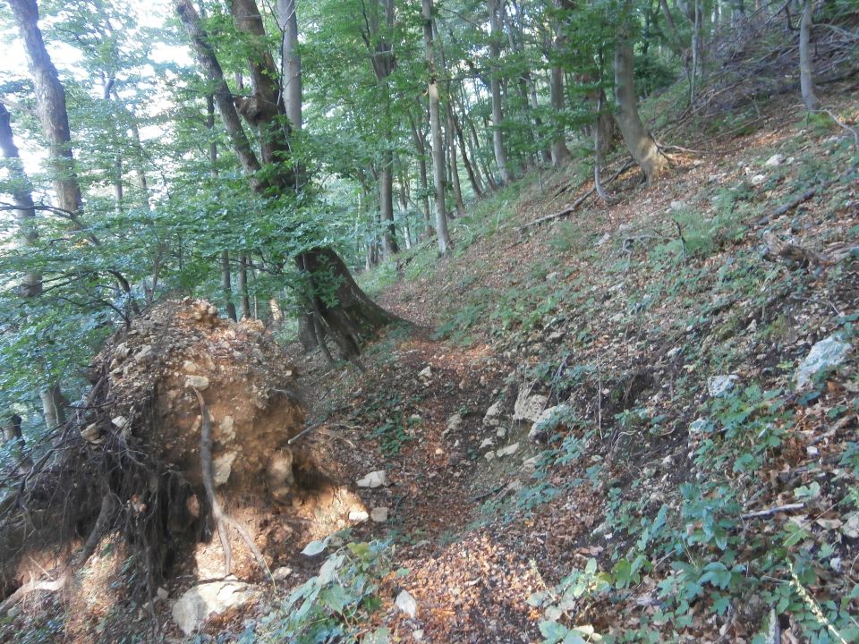 Boč/severni greben in lajše - foto povečava