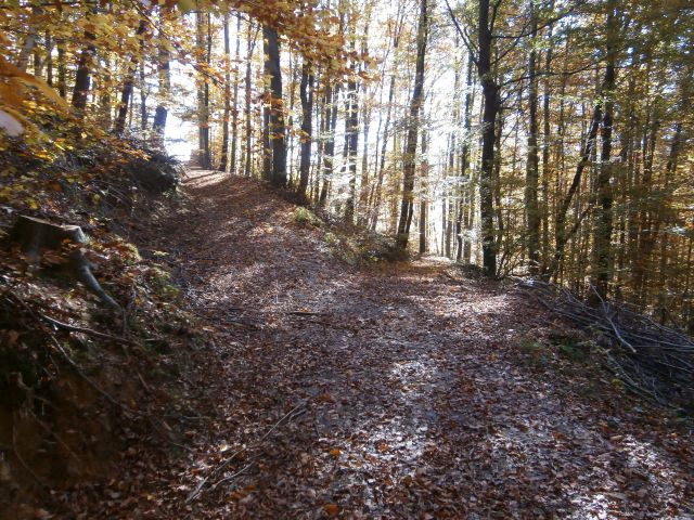 Veliki Slom nad Žičami,01.11.2016 - foto