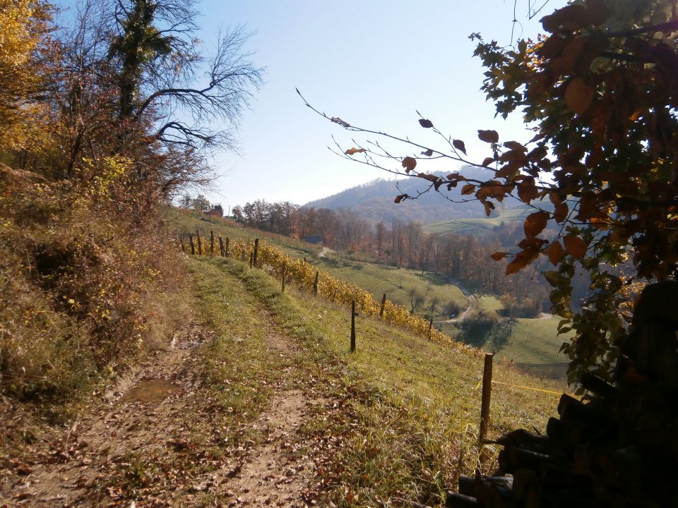 Veliki Slom nad Žičami,01.11.2016 - foto povečava