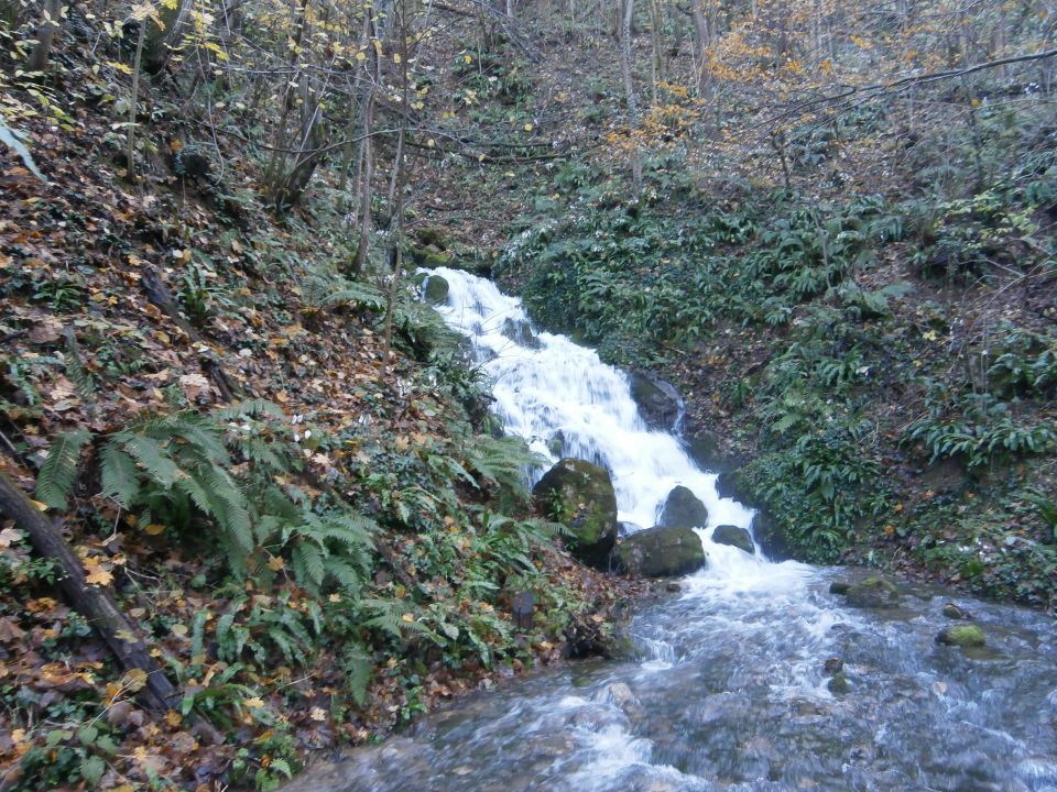 Stara Drevesnica na Boču v snegu,13.11.2016 - foto povečava