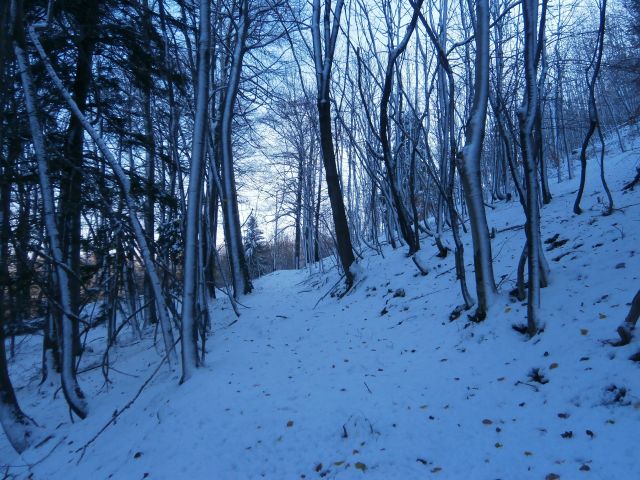 Stara Drevesnica na Boču v snegu,13.11.2016 - foto
